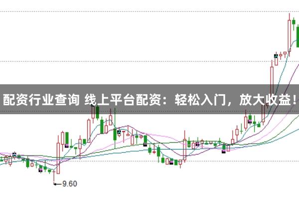 配资行业查询 线上平台配资：轻松入门，放大收益！